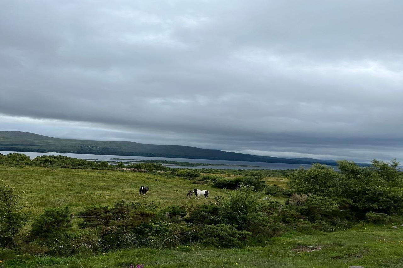 Kenmare House Hotel Eksteriør billede